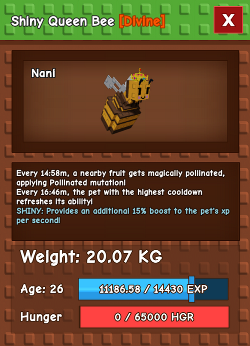 20kg+ Shiny Queen Bee