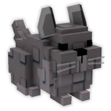 chinchilla